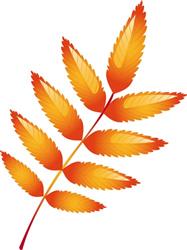 Ash Leaf