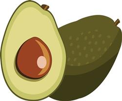 Avocado Halves