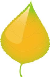 Birch Leaf