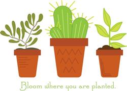 Bloom Where Planted Border