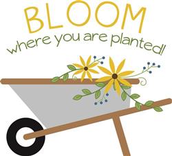 Bloom Where Planted