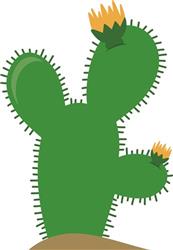 Blooming Cactus