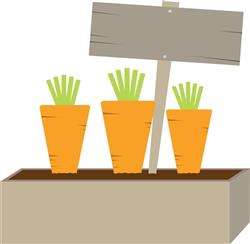 Carrots