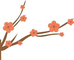Cherry Blossoms