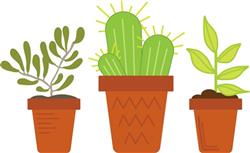Clay Pot Border