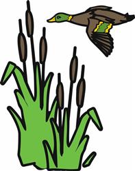 Duck & Cattails