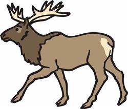 Elk