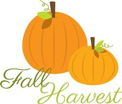 Fall Harvest