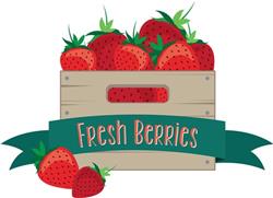 Fresh Berries