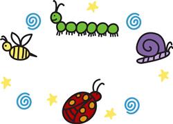 Insects And Bugs