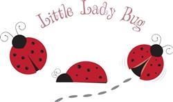 Little Lady Bug