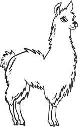 Llama Outline