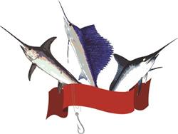 Marlin Fish