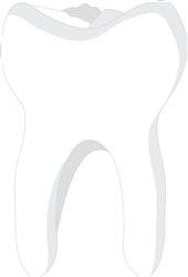Molar Tooth
