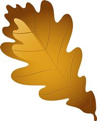 Oak Leaf