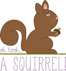 Oh Look Squirrel