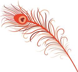 Peacock Feather