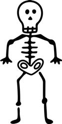 Skeleton