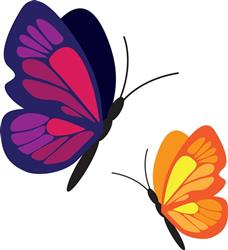 Spring Butterfly