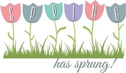 Spring has Sprung
