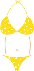 Summer Bikini