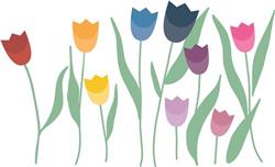 Tulip Border