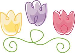 Tulips