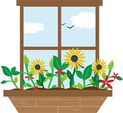 Window Flowers