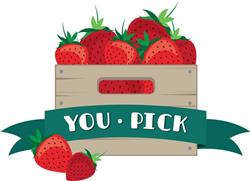 You Pick
