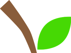 apple stem and leaf