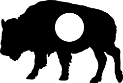 Buffalo Frame