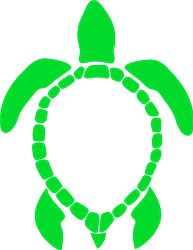 Frame Turtle