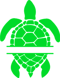 Turtle Namedrop