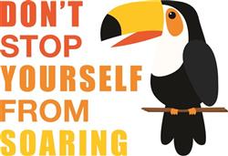 Dont Stop Soaring