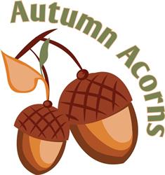 Autumn Acorns