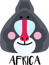 Baboon Africa