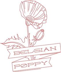 Belgian Poppy
