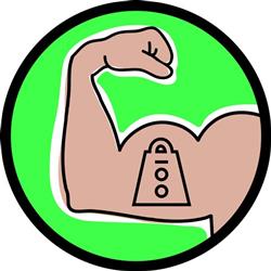 Bicep Curl Muscle