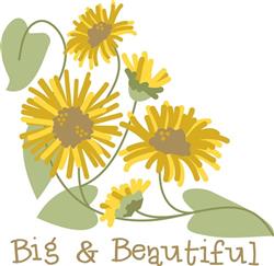 Big and Beautiful