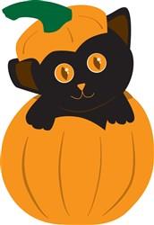 Black Cat In Pumpkin