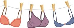 Bras On Line