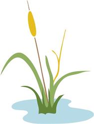 Cattail Plant
