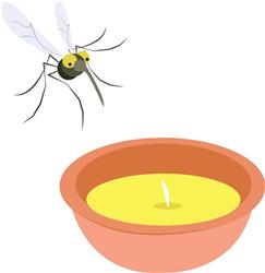 Cintronella Mosquito