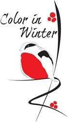 Color In Winter