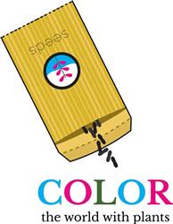 Color the World
