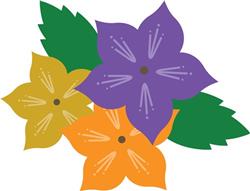 Colorful Flowers