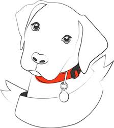 Cute Puppy