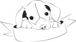 Cute Puppy