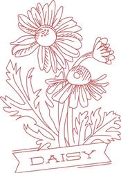 Daisy Floral