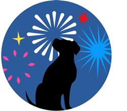 Dog & Fireworks